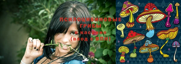 бошки Алексеевка