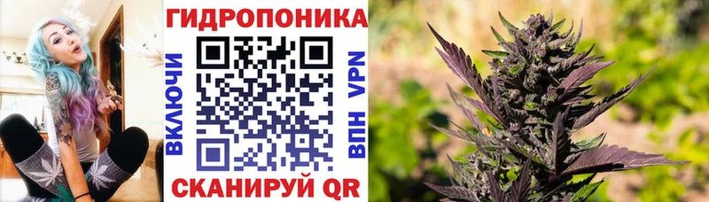 Канабис индика  Тамбов 